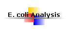 E. coli Analysis