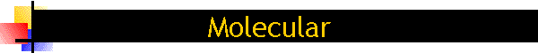 Molecular