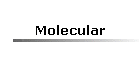 Molecular