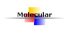 Molecular